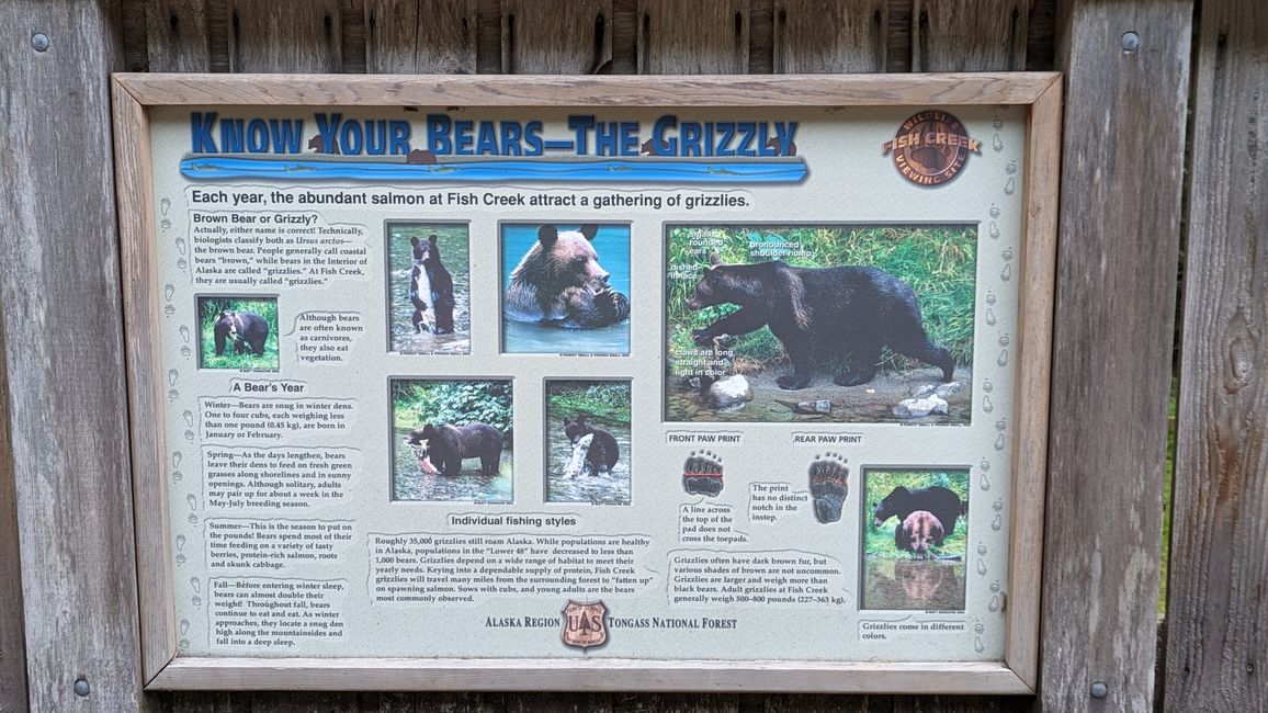 Infotafel Grizzly