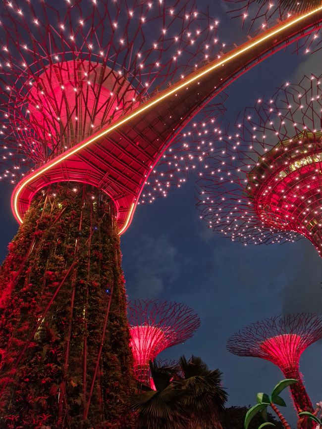 Gardens by the Bay - Ro