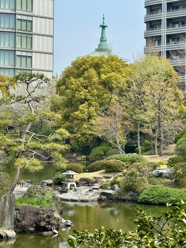 Parte 7
BENVENUTO IN GIAPPONE 🇯🇵
TOKYO