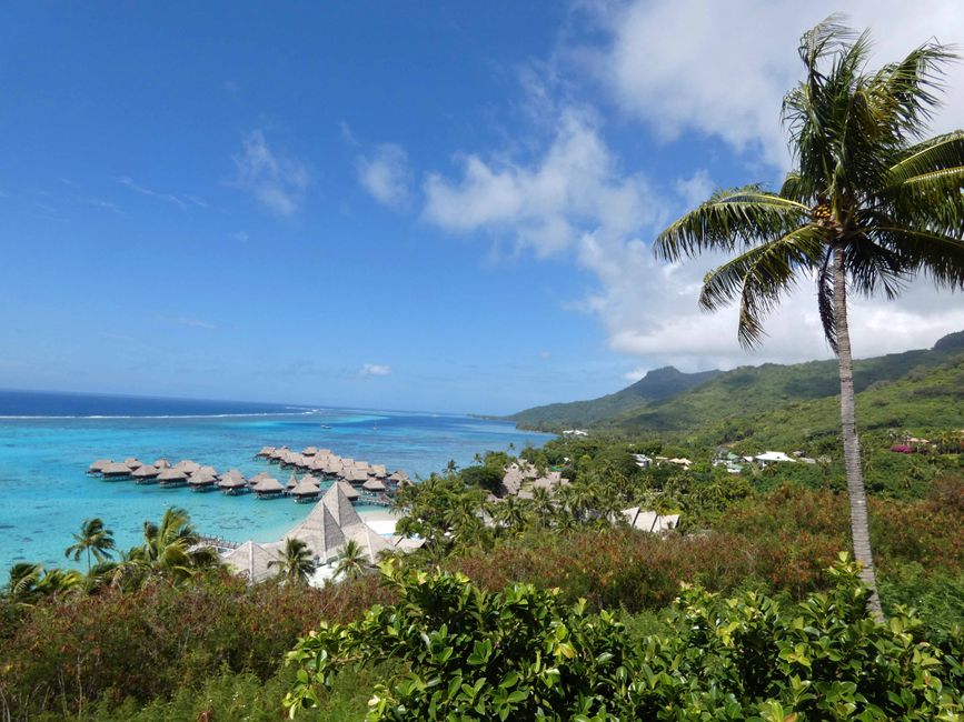 Mo orea