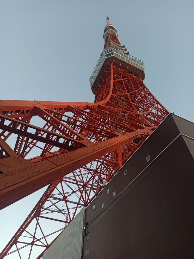 Tokio ankommen