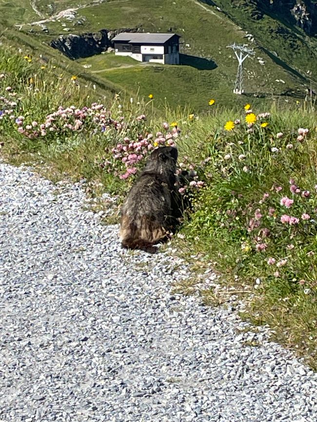 3rd Stage from Bad Gastein to Villach