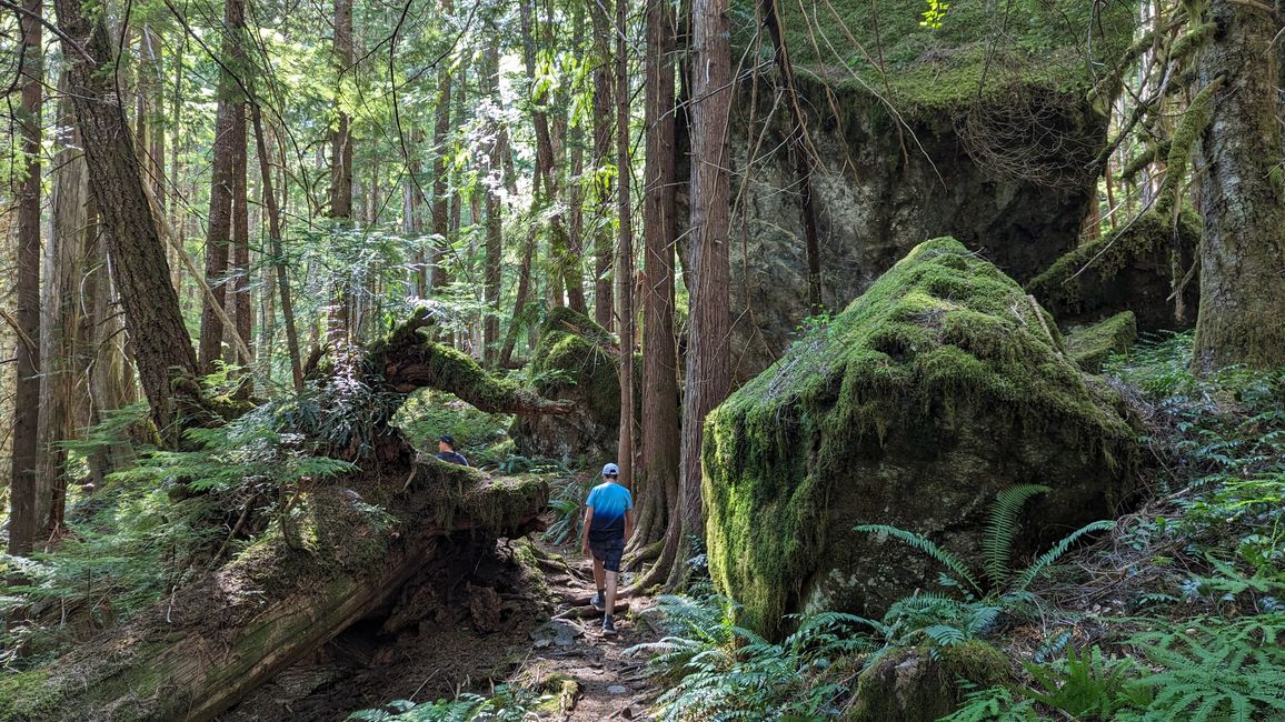 Upper Myra Falls Trail