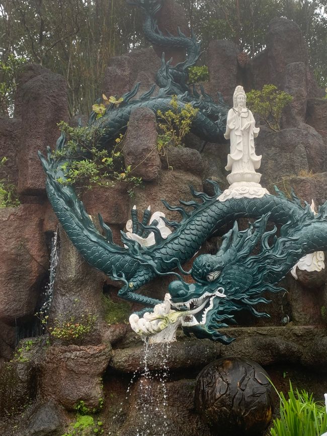 Tag 6 - Hoi An : Un Licorne Endormi et une Aventure dans le Brouillard