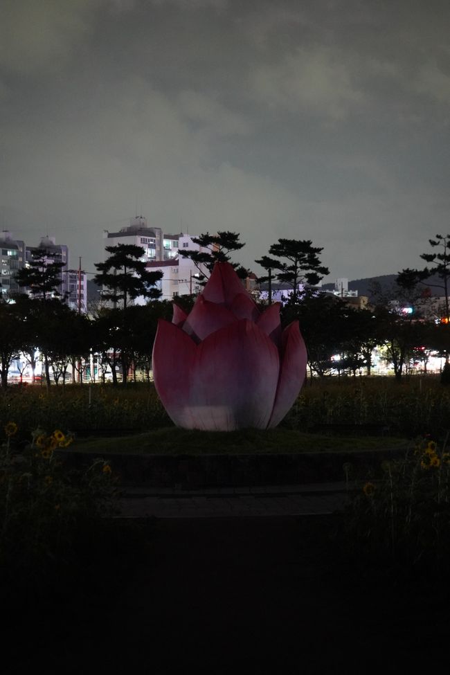 Jardín de luz
