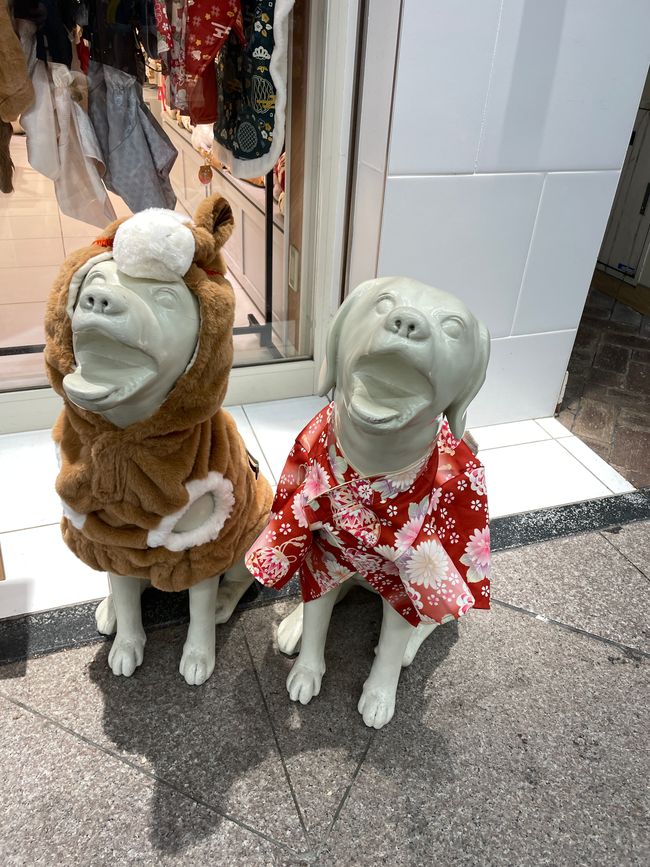 24. Chapitre : Vaches pour la sagesse et hystérie d'achat au marché Nishiki
