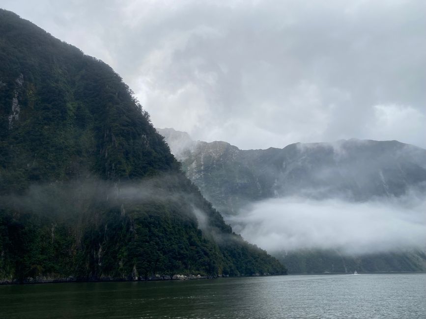 Road trip to Milford Sound