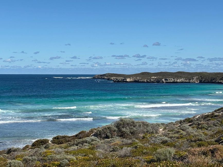 Rottnest Island