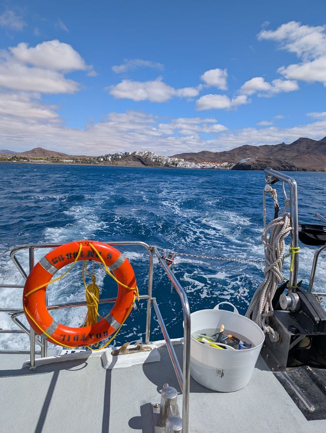 115.Etiqueta 29.4.25 Puerto del Rosario, Fuerteventura España