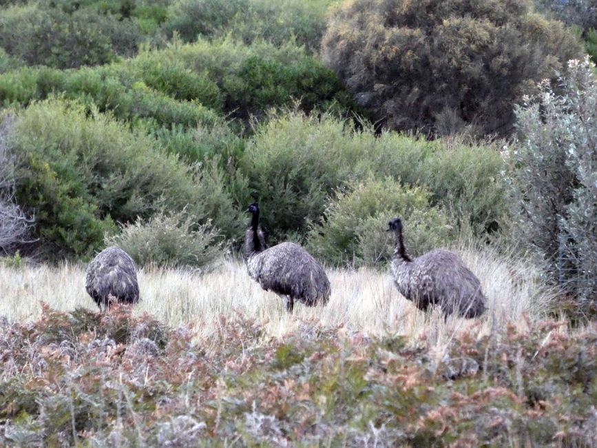 Melbourne - Wilsons-Promontory-Nationalpark