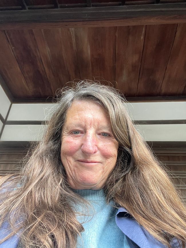 34. et dernier chapitre, dernières flâneries et dernières images