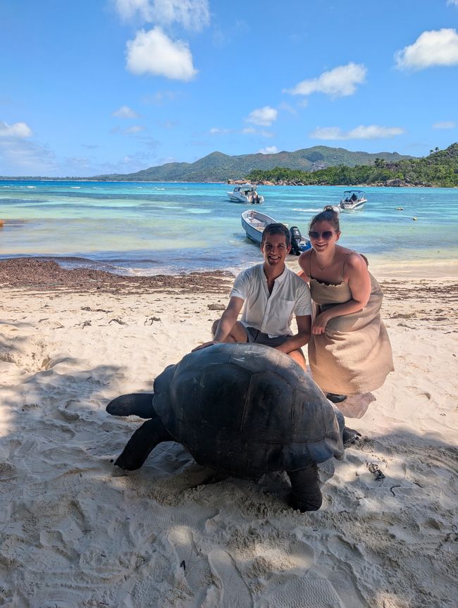 Ausflug auf die Schildkröten-Insel🐢