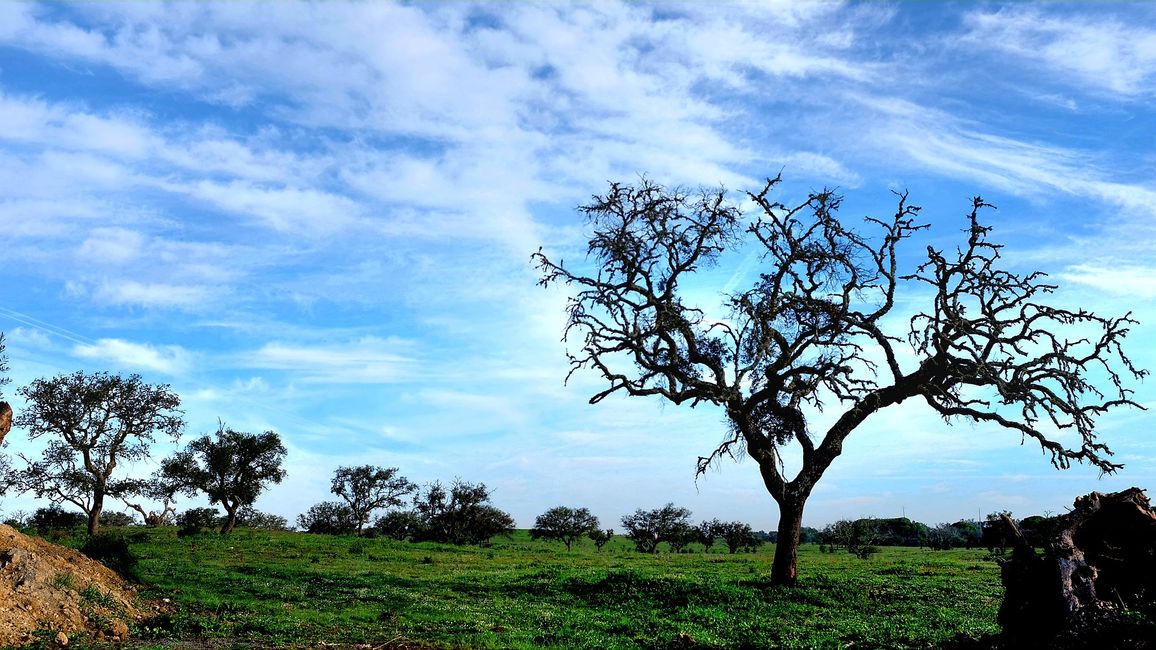 In dieser Landschaft fanden wir
