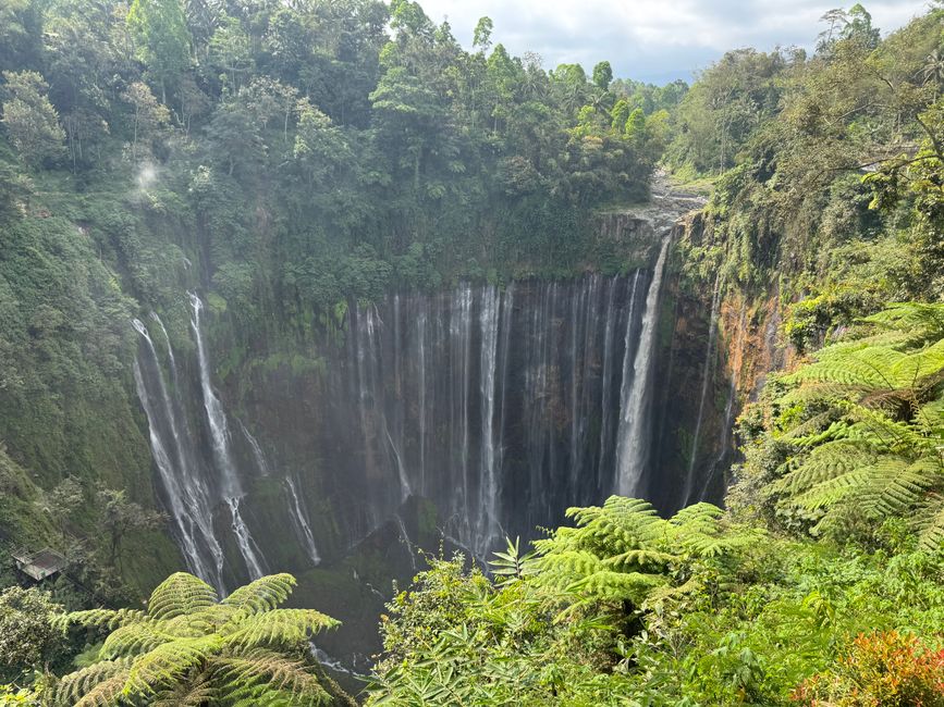 Tumpak Sewu Wasserfälle