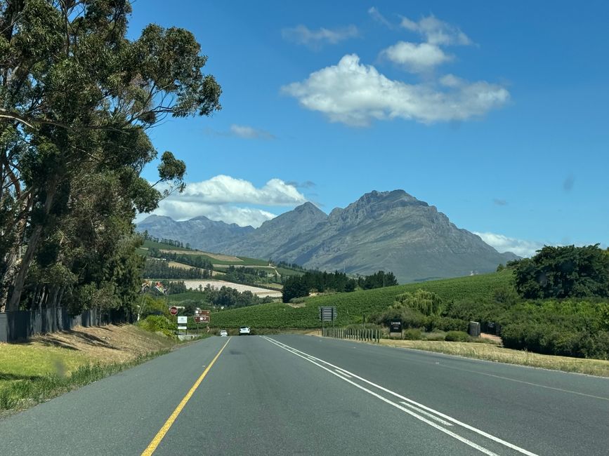 Weihnachtstage in Stellenbosch