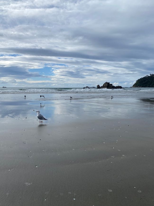 Bahía de Plenty