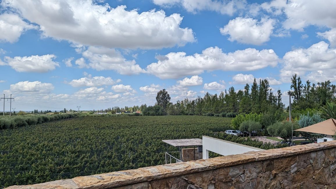 Région viticole Maipu/ Mendoza