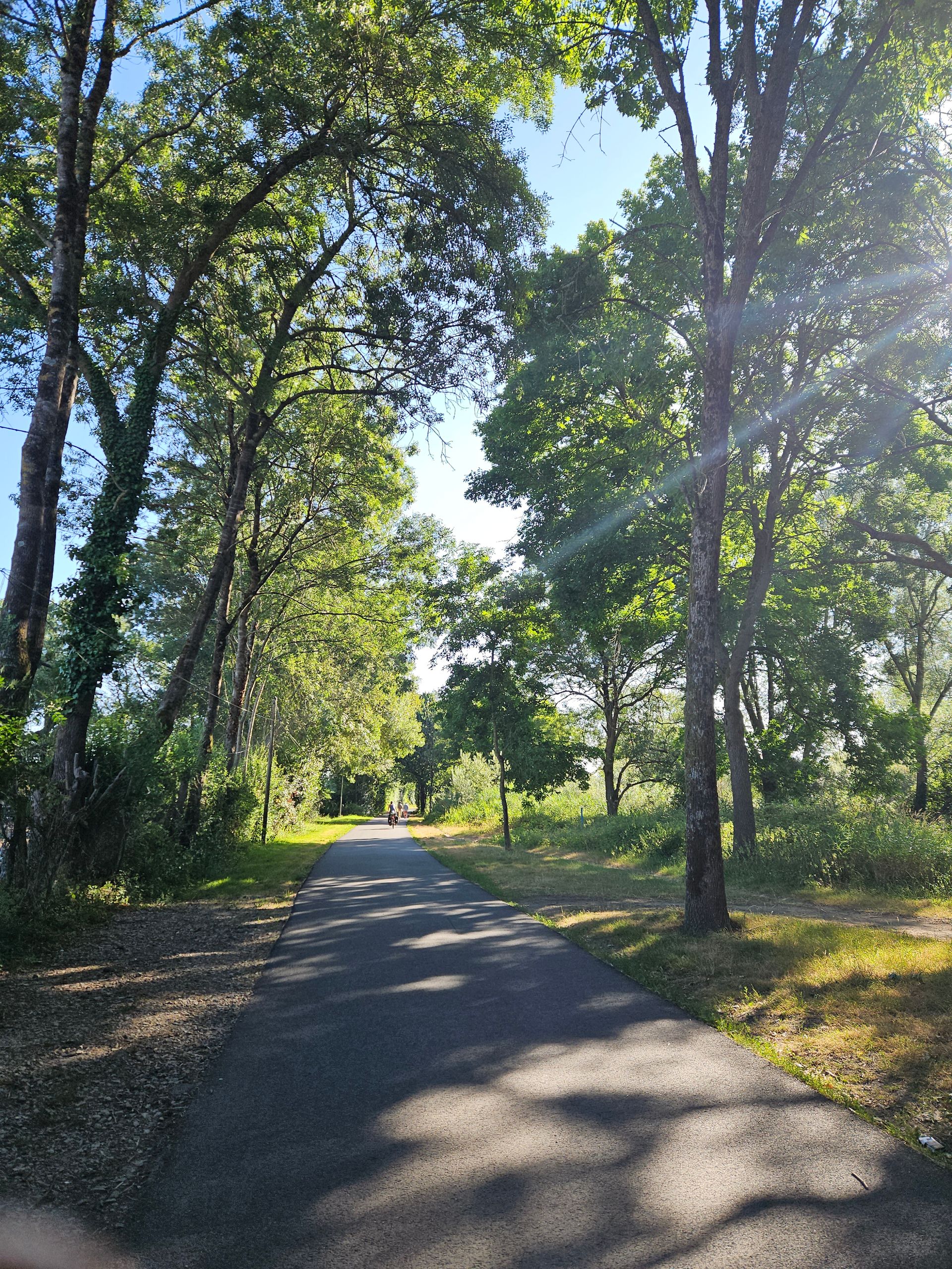 Vélo route EV6
