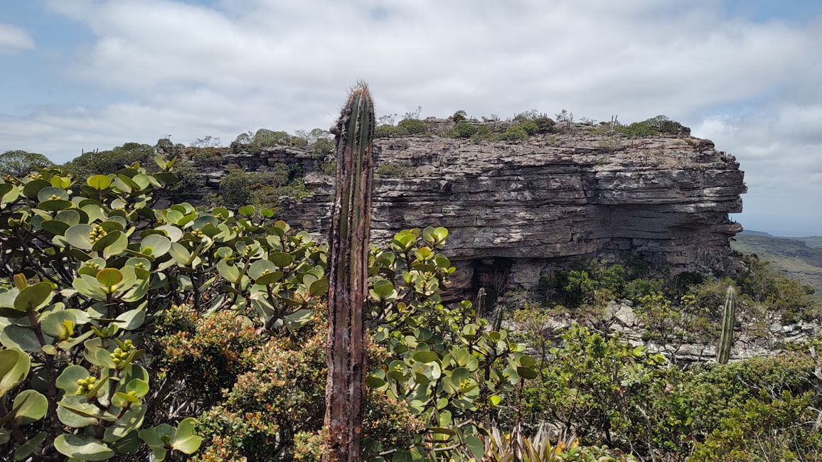 Brazil, on the way to the Diamante National Park