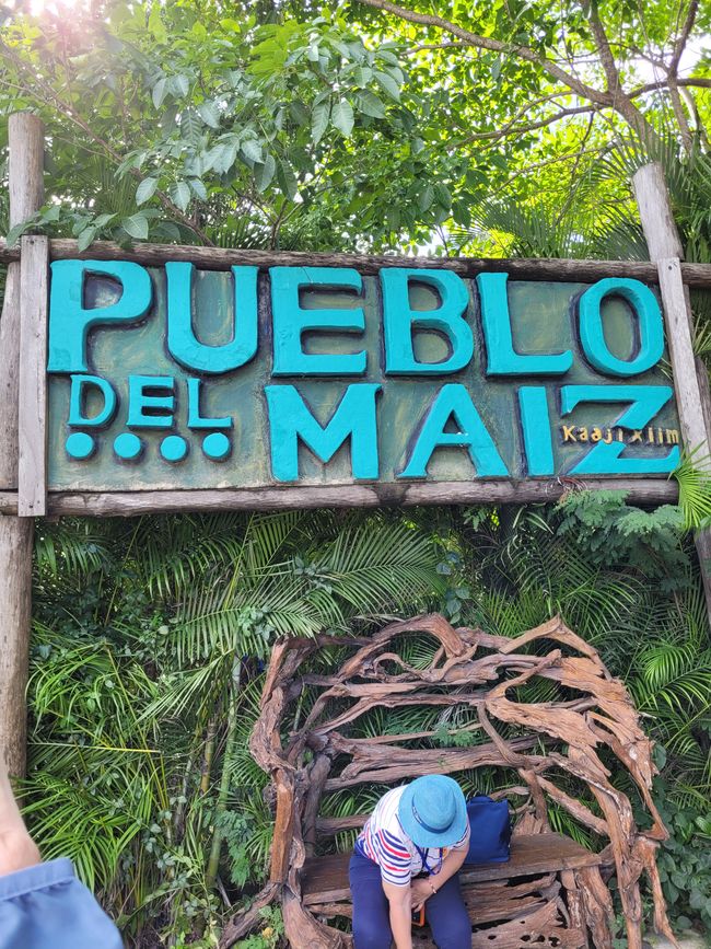Día 29 de 175: Crucero alrededor del mundo - Cozumel/México