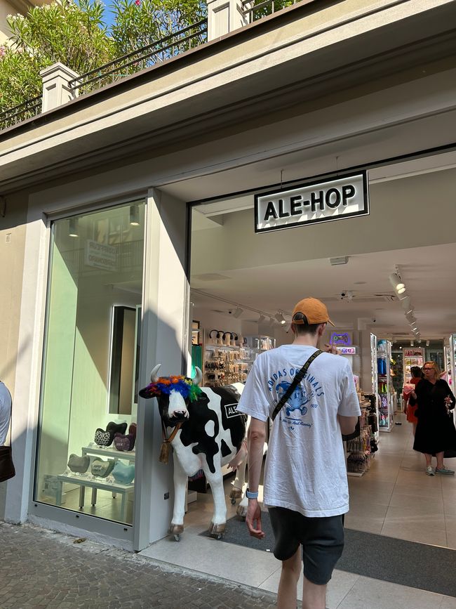 Ale-Hop