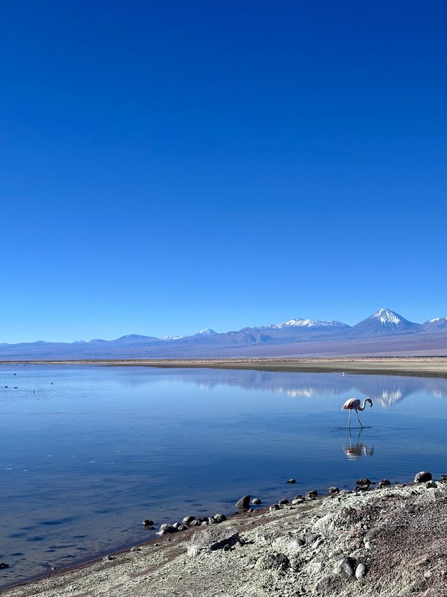 Day 18 - San Pedro de Atacama