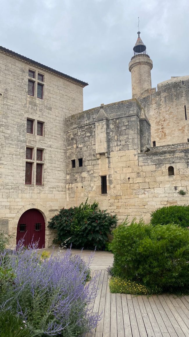 Camargue Aigues-Mortes