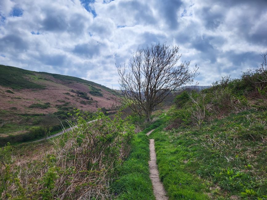 Wanderweg