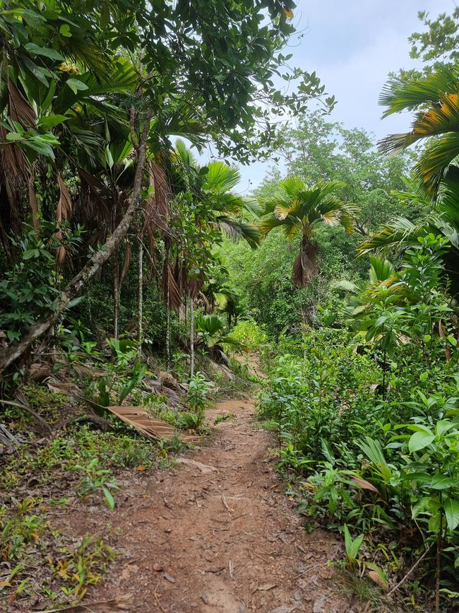 Seychellen - Tag 10: Vom schönsten auf den 2. schönsten Strand