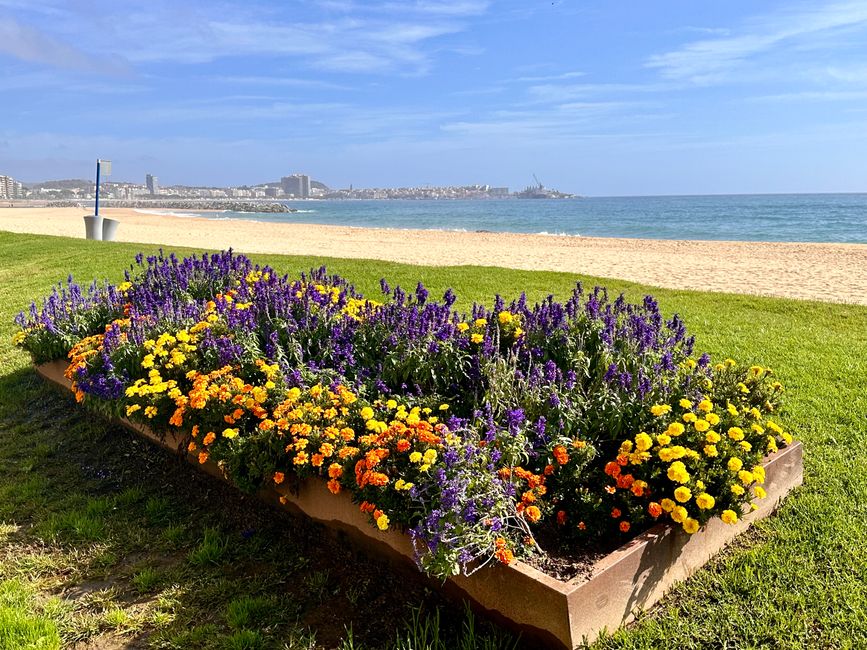 Sant Antoni de Calonge, día sin golf