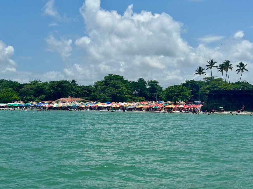 Brasilien Tag 17 - Ein Tag im Paradies