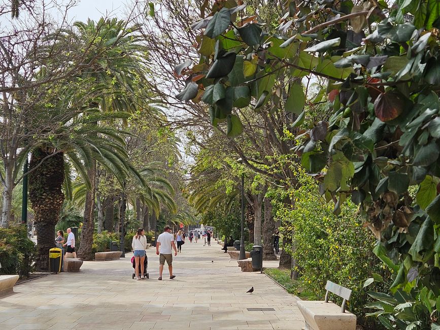 2025 - Abril - Málaga