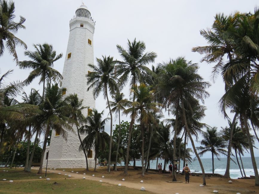 Matara - Mauvais temps, pas de baleines, mais des Salties (crocodiles d'eau salée)