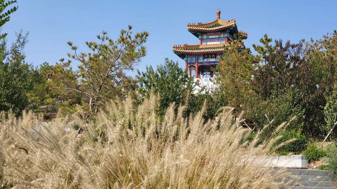 Exposición de Jardín Cangzhou