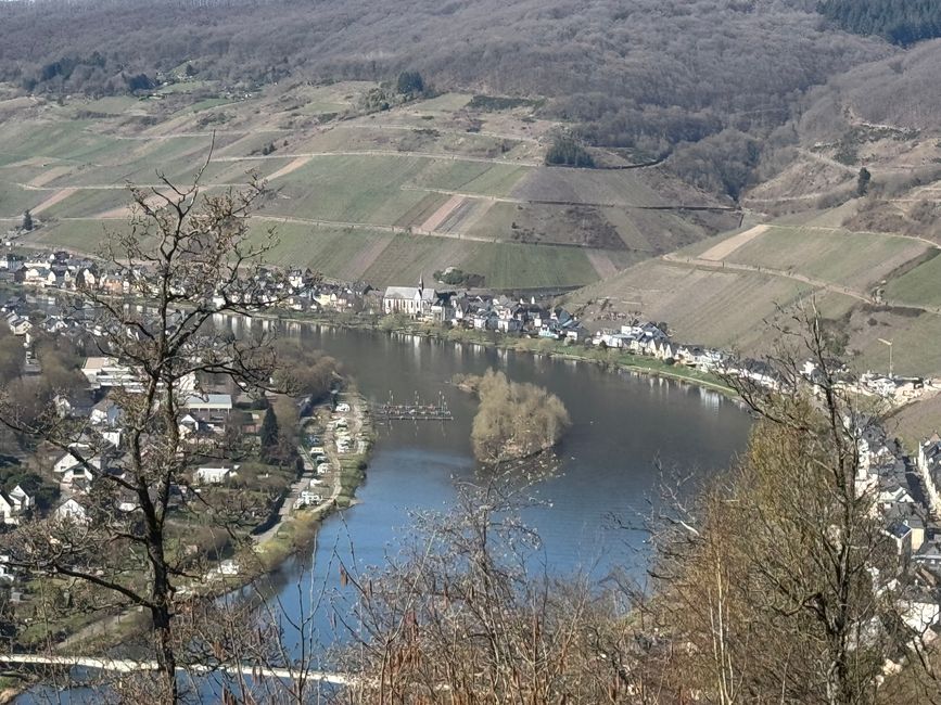 Zell sur la Moselle