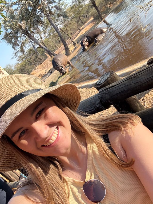 Namibia 2k25 🦓🏜️🐘