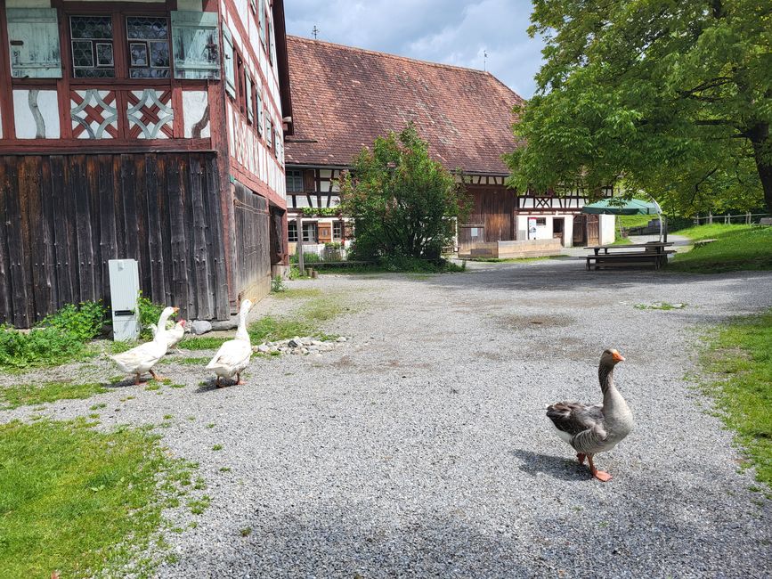 Bauernhaus Museum Wolfegg