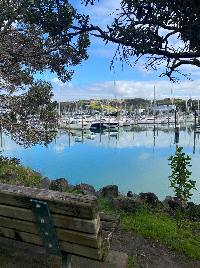 De whangarei à auckland