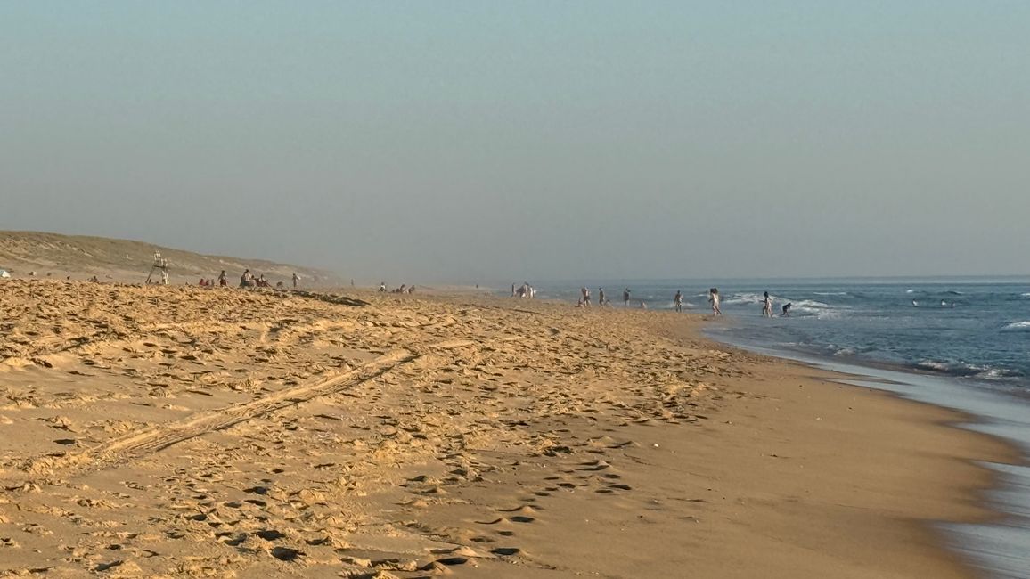 Cap Ferret