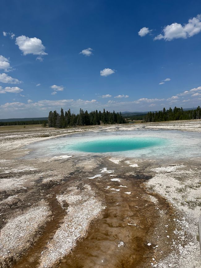 Wyoming: Yellowstone Parte 1