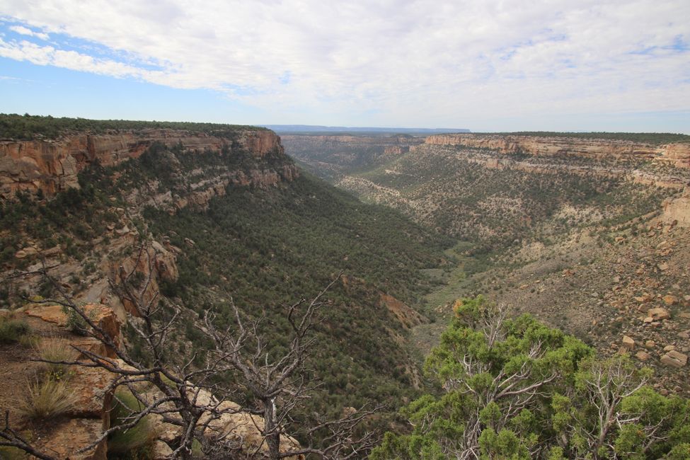 Mesa Verde NP