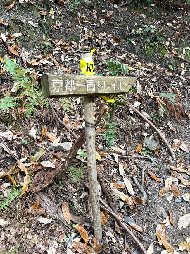 Wegweiser