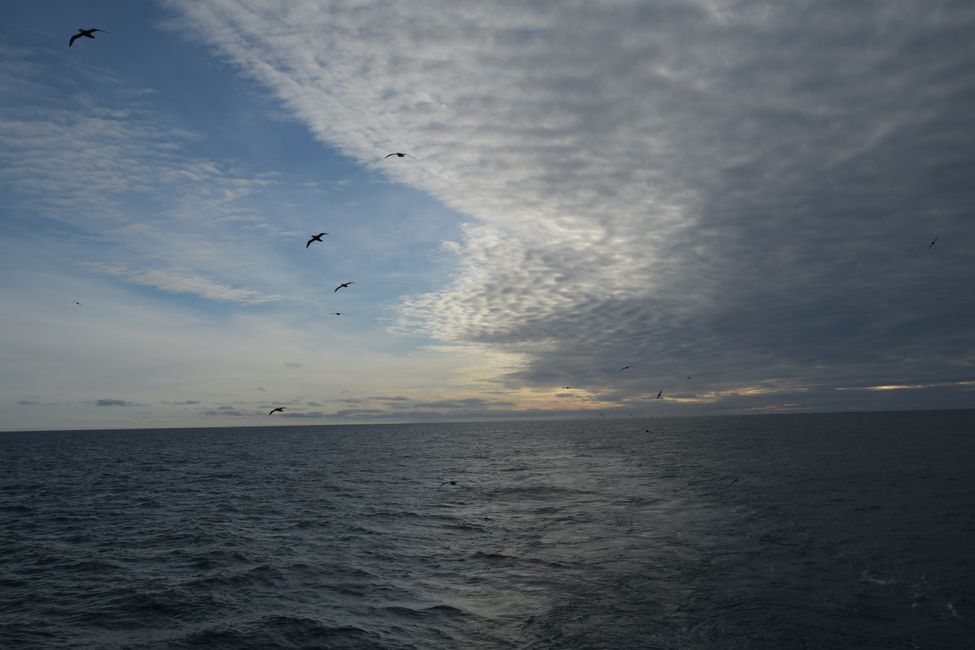 Auf See / On Sea