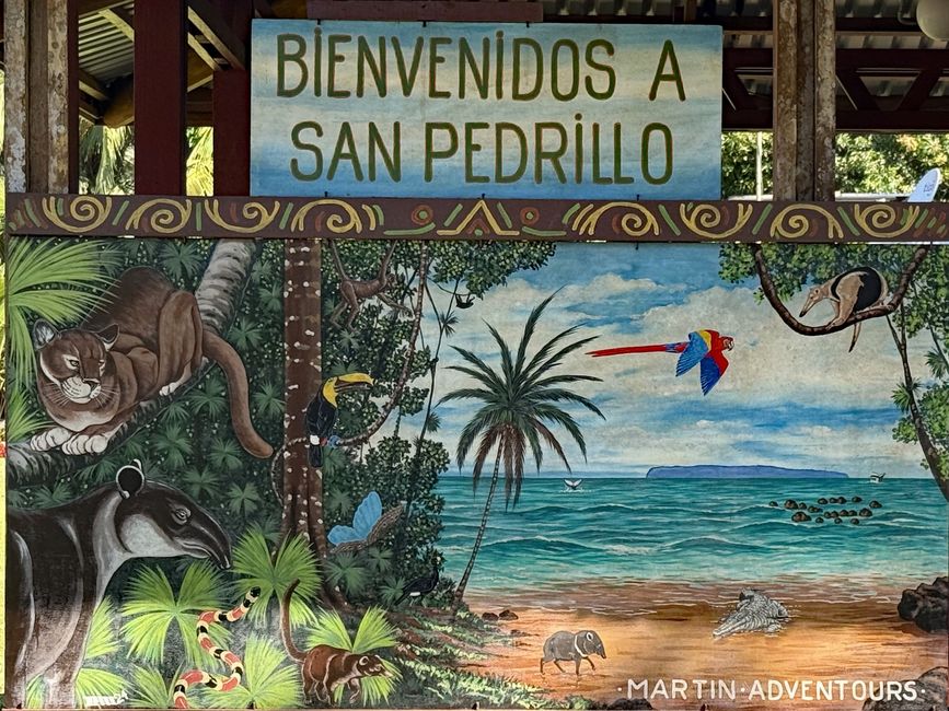 BLOG 15: En barco al Parque Nacional Corcovado