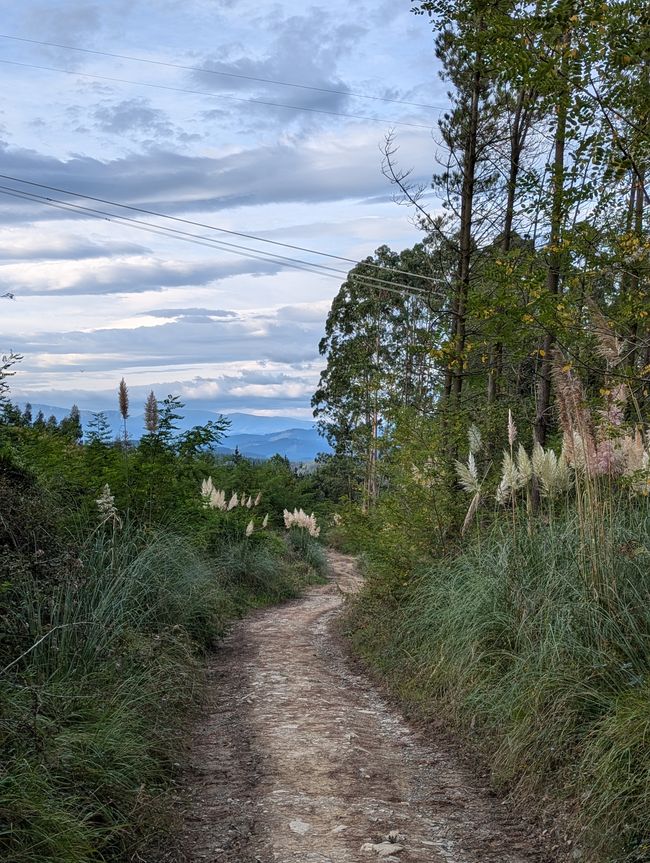 Yendo al Guggenheim II (Camino del Norte 6)