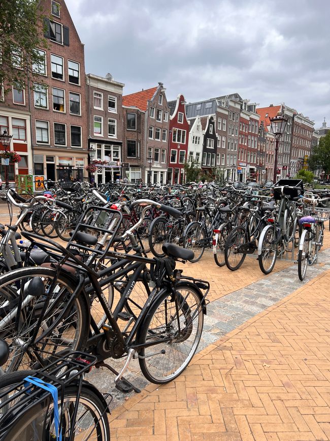 Tag 6 Richtung Amsterdam