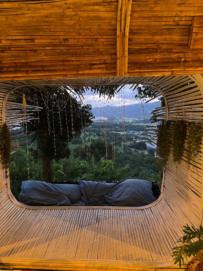 Cocoon Viewpoint