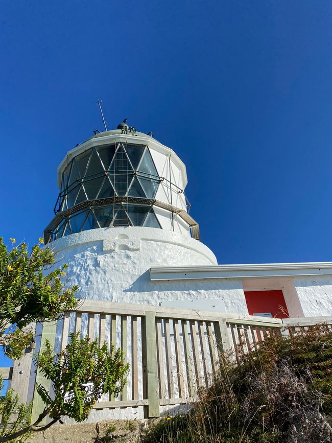 Nugget Point Lighhouse