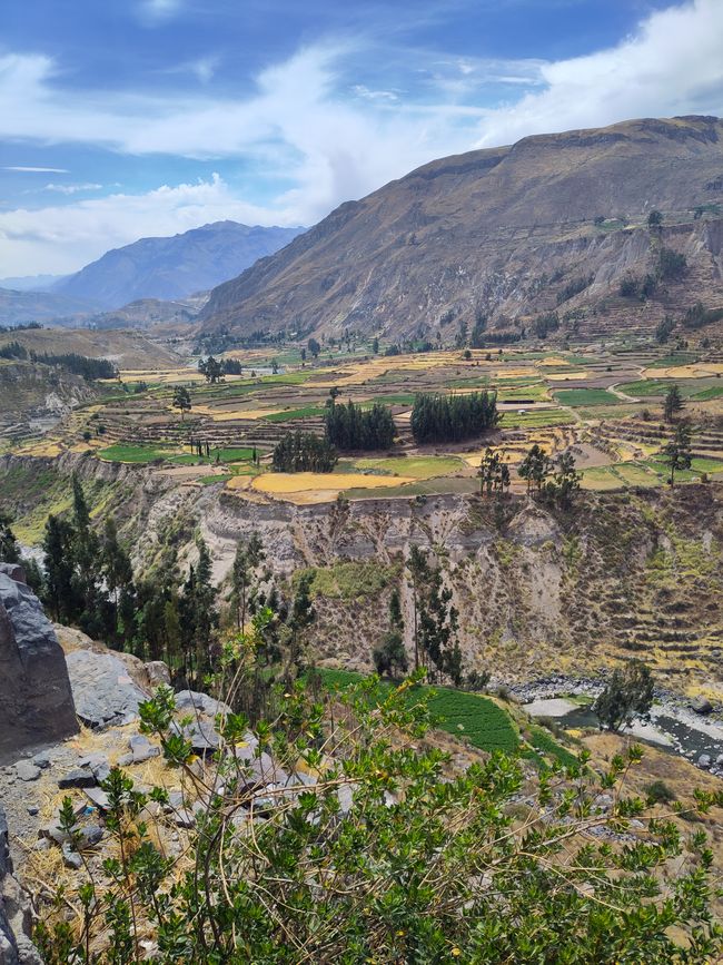 Arequipa: Beautiful Colca Canyon and the best almond peak in the world