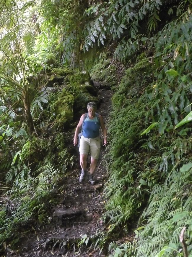 Aufstieg zum Pico do Ferro